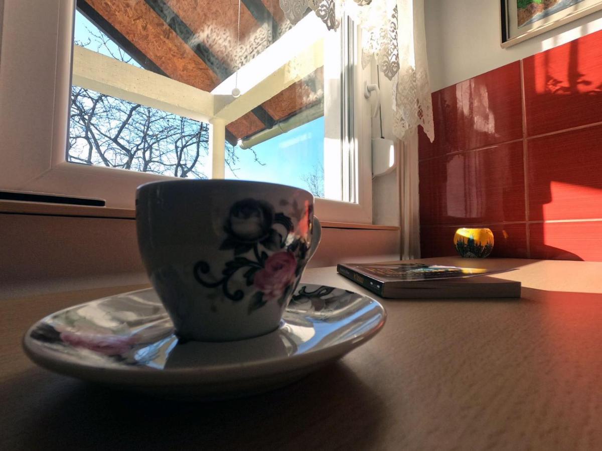 ホテル Soba Milica Palić エクステリア 写真